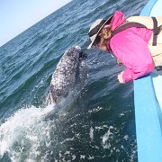 IMG 0001 2 (297)